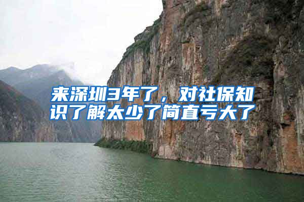 來深圳3年了，對社保知識了解太少了簡直虧大了