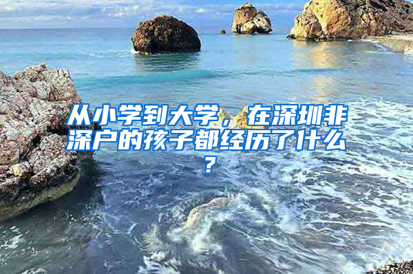 從小學(xué)到大學(xué)，在深圳非深戶的孩子都經(jīng)歷了什么？