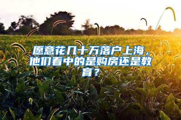 愿意花幾十萬落戶上海，他們看中的是購房還是教育？