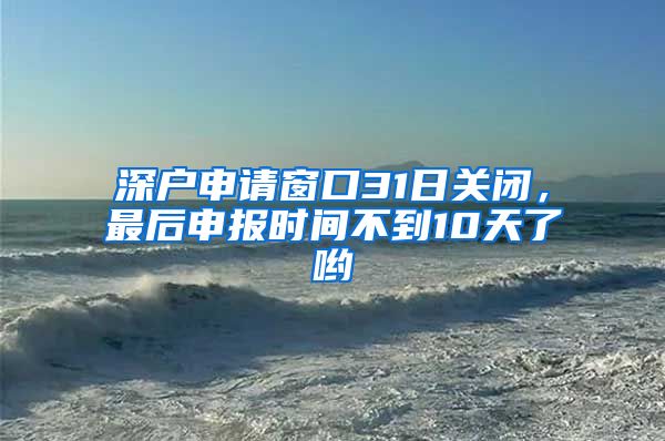 深戶申請窗口31日關閉，最后申報時間不到10天了喲