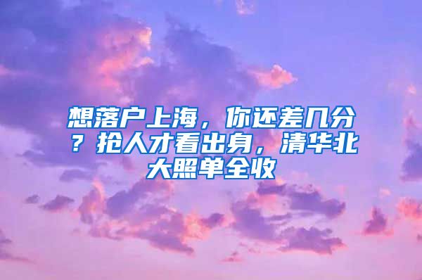 想落戶上海，你還差幾分？搶人才看出身，清華北大照單全收