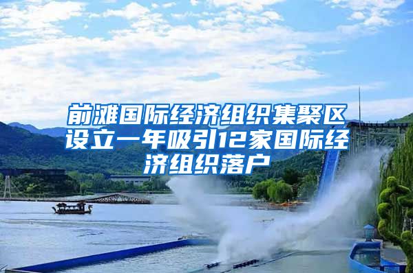 前灘國際經(jīng)濟組織集聚區(qū)設立一年吸引12家國際經(jīng)濟組織落戶