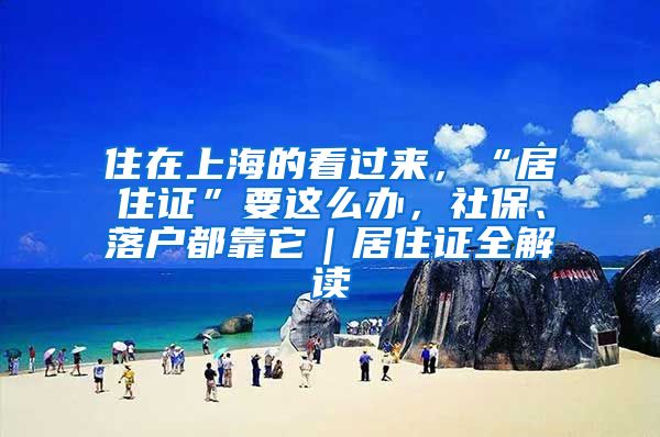 住在上海的看過來，“居住證”要這么辦，社保、落戶都靠它｜居住證全解讀