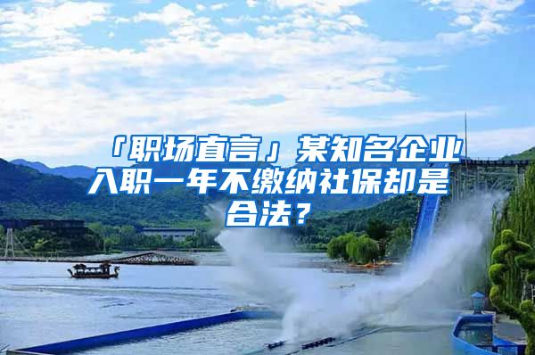 「職場直言」某知名企業(yè)入職一年不繳納社保卻是合法？