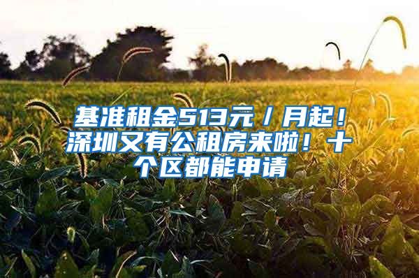 基準租金513元／月起！深圳又有公租房來啦！十個區(qū)都能申請