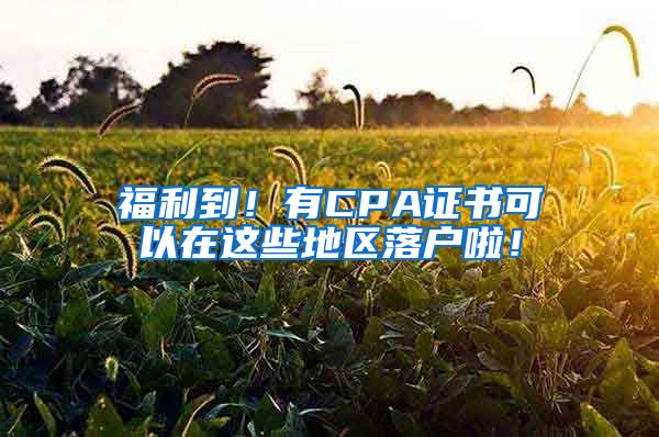 福利到！有CPA證書可以在這些地區(qū)落戶啦！