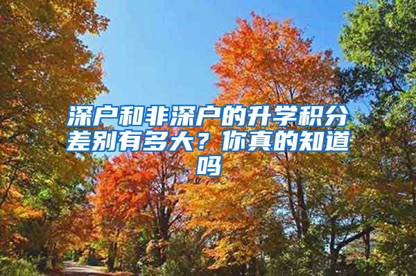 深戶和非深戶的升學(xué)積分差別有多大？你真的知道嗎