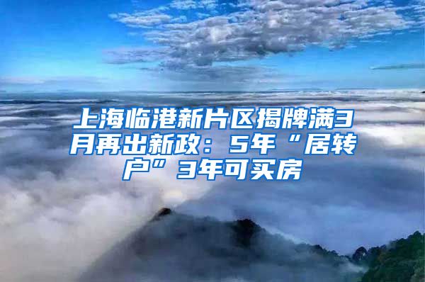 上海臨港新片區(qū)揭牌滿3月再出新政：5年“居轉戶”3年可買房