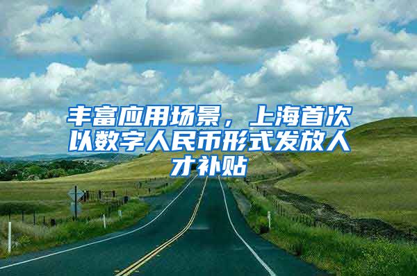 豐富應用場景，上海首次以數字人民幣形式發(fā)放人才補貼