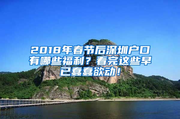 2018年春節(jié)后深圳戶口有哪些福利？看完這些早已蠢蠢欲動！