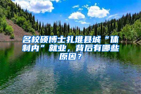 名校碩博士扎堆縣城“體制內(nèi)”就業(yè)，背后有哪些原因？