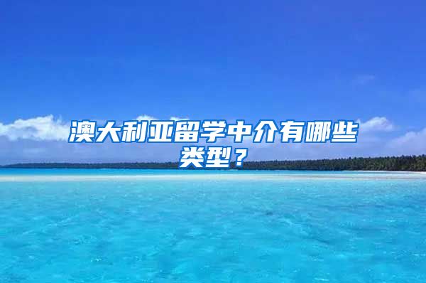 澳大利亞留學(xué)中介有哪些類型？