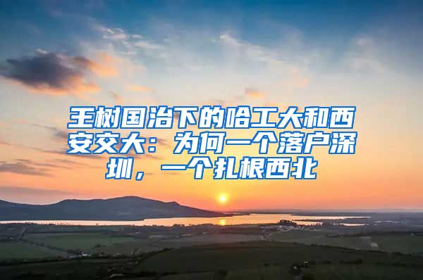 王樹(shù)國(guó)治下的哈工大和西安交大：為何一個(gè)落戶深圳，一個(gè)扎根西北