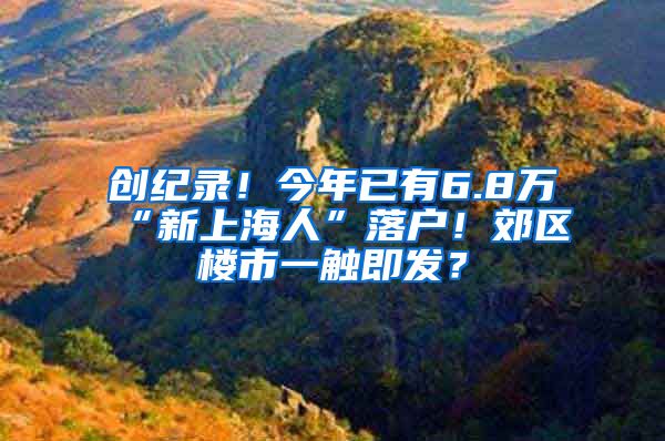 創(chuàng)紀(jì)錄！今年已有6.8萬(wàn)“新上海人”落戶！郊區(qū)樓市一觸即發(fā)？