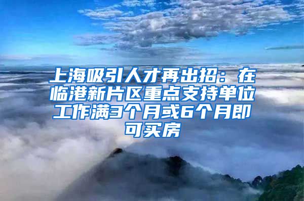 上海吸引人才再出招：在臨港新片區(qū)重點支持單位工作滿3個月或6個月即可買房