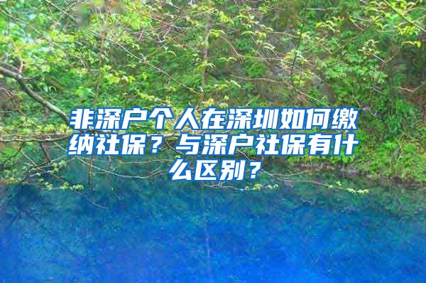 非深戶個人在深圳如何繳納社保？與深戶社保有什么區(qū)別？