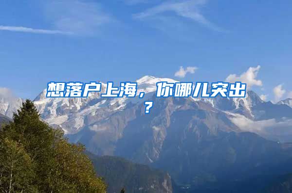 想落戶上海，你哪兒突出？