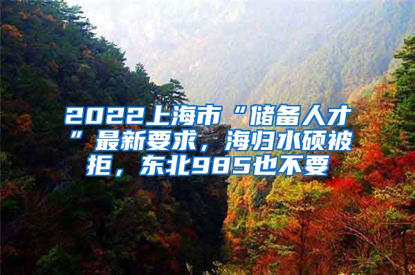 2022上海市“儲(chǔ)備人才”最新要求，海歸水碩被拒，東北985也不要