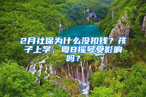 2月社保為什么沒扣錢？孩子上學、粵B搖號受影響嗎？