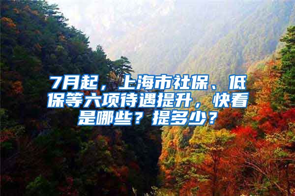 7月起，上海市社保、低保等六項(xiàng)待遇提升，快看是哪些？提多少？