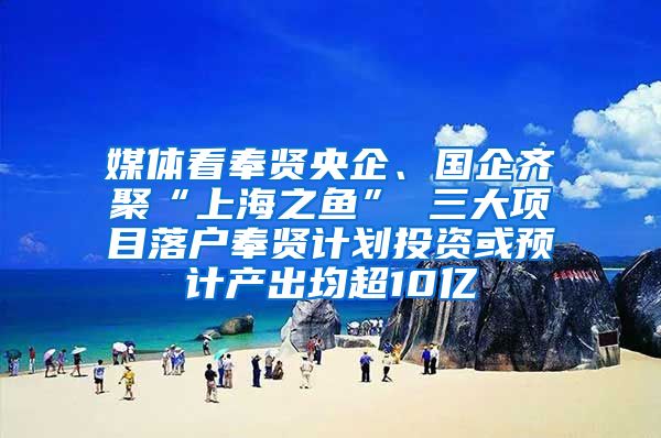 媒體看奉賢央企、國(guó)企齊聚“上海之魚(yú)” 三大項(xiàng)目落戶奉賢計(jì)劃投資或預(yù)計(jì)產(chǎn)出均超10億