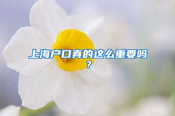 上海戶口真的這么重要嗎？