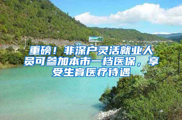 重磅！非深戶靈活就業(yè)人員可參加本市一檔醫(yī)保，享受生育醫(yī)療待遇