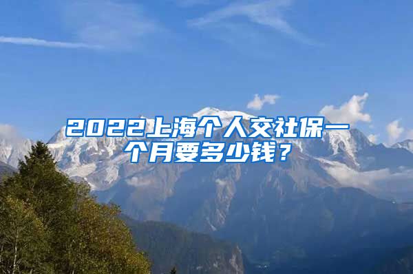 2022上海個人交社保一個月要多少錢？