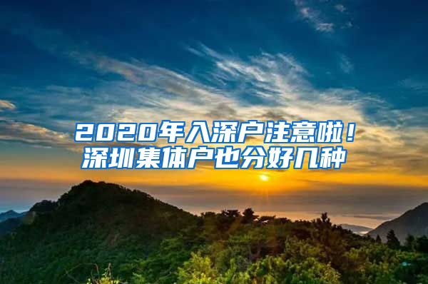 2020年入深戶注意啦！深圳集體戶也分好幾種