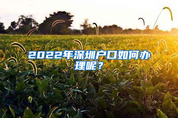 2022年深圳戶口如何辦理呢？