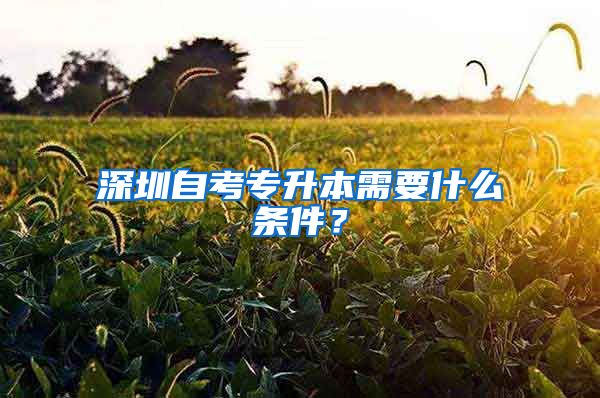 深圳自考專升本需要什么條件？