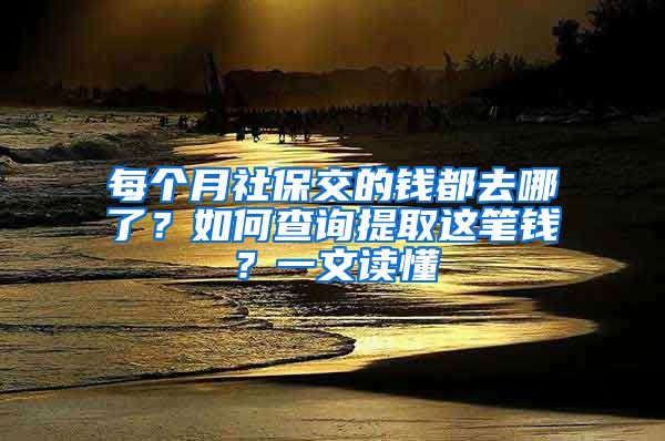 每個(gè)月社保交的錢都去哪了？如何查詢提取這筆錢？一文讀懂