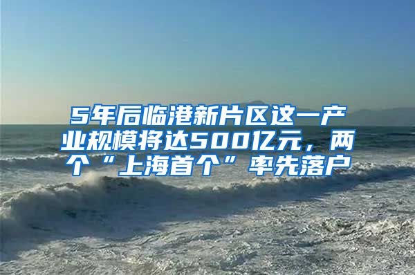 5年后臨港新片區(qū)這一產(chǎn)業(yè)規(guī)模將達(dá)500億元，兩個(gè)“上海首個(gè)”率先落戶