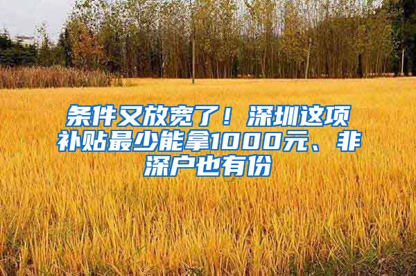 條件又放寬了！深圳這項補貼最少能拿1000元、非深戶也有份