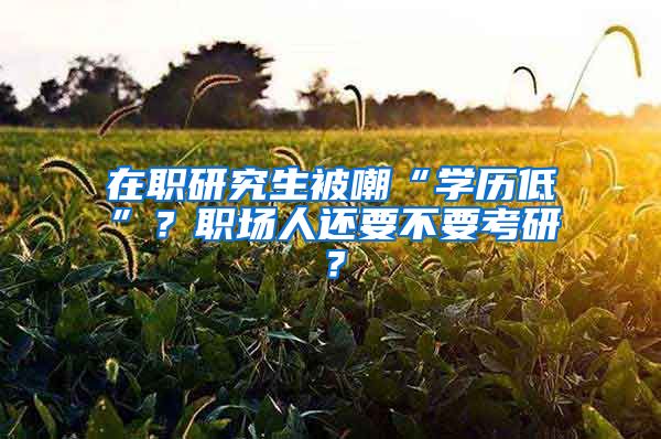 在職研究生被嘲“學(xué)歷低”？職場(chǎng)人還要不要考研？