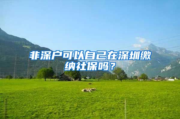 非深戶可以自己在深圳繳納社保嗎？