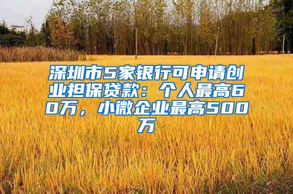 深圳市5家銀行可申請創(chuàng)業(yè)擔(dān)保貸款：個人最高60萬，小微企業(yè)最高500萬