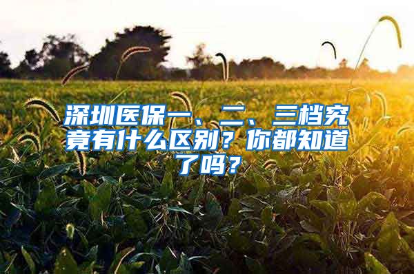 深圳醫(yī)保一、二、三檔究竟有什么區(qū)別？你都知道了嗎？