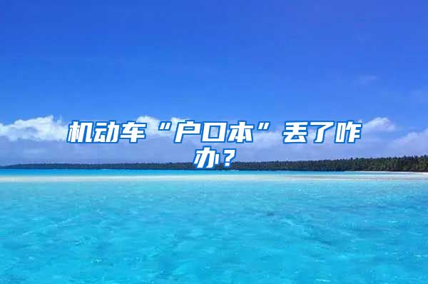 機動車“戶口本”丟了咋辦？