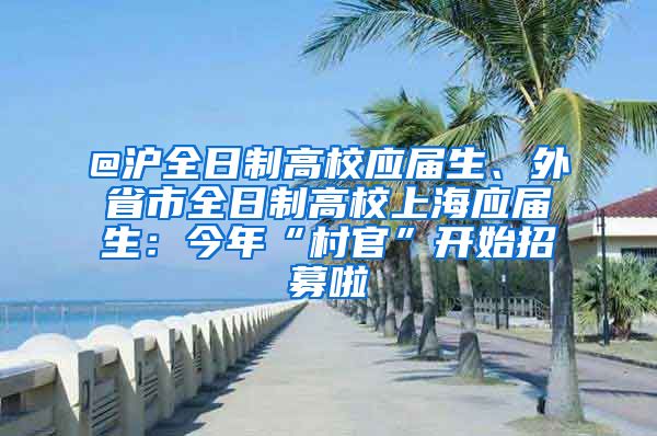 @滬全日制高校應(yīng)屆生、外省市全日制高校上海應(yīng)屆生：今年“村官”開始招募啦