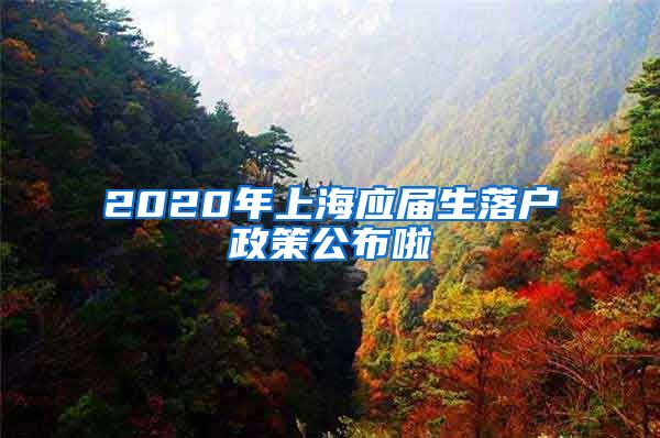 2020年上海應屆生落戶政策公布啦