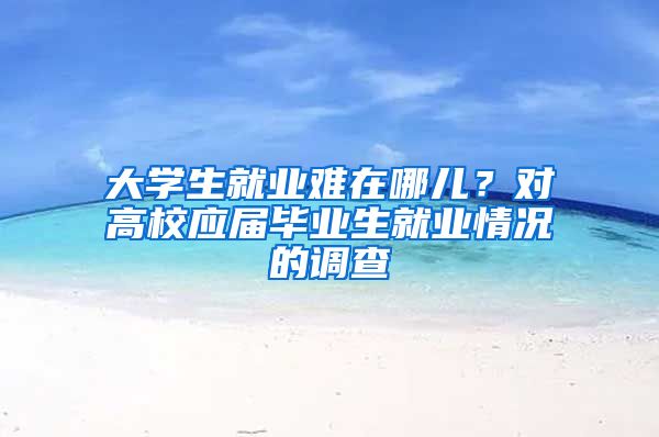 大學(xué)生就業(yè)難在哪兒？對高校應(yīng)屆畢業(yè)生就業(yè)情況的調(diào)查