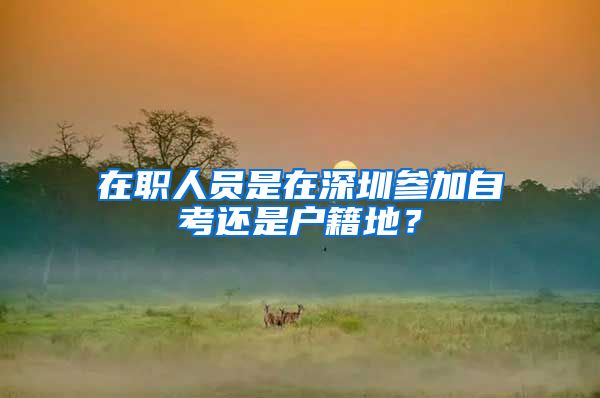 在職人員是在深圳參加自考還是戶籍地？