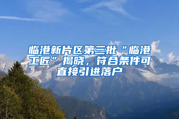 臨港新片區(qū)第三批“臨港工匠”揭曉，符合條件可直接引進(jìn)落戶