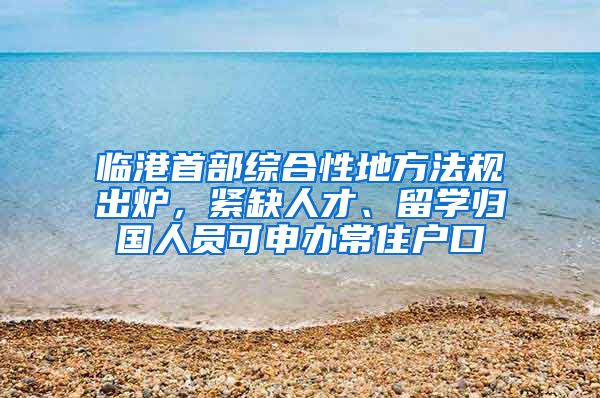 臨港首部綜合性地方法規(guī)出爐，緊缺人才、留學(xué)歸國(guó)人員可申辦常住戶口