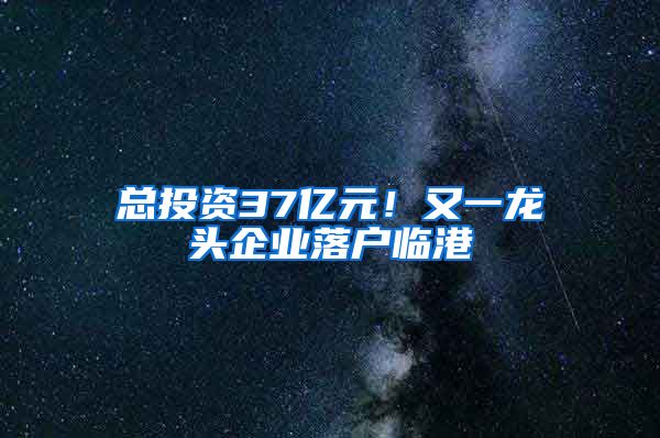 總投資37億元！又一龍頭企業(yè)落戶臨港