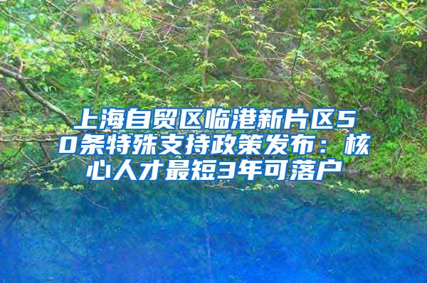 上海自貿區(qū)臨港新片區(qū)50條特殊支持政策發(fā)布：核心人才最短3年可落戶