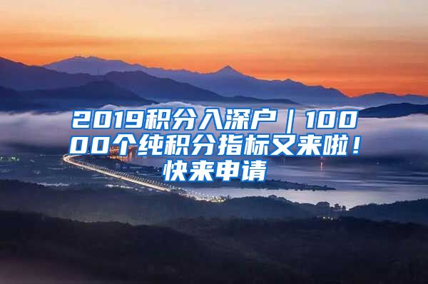 2019積分入深戶｜10000個純積分指標又來啦！快來申請