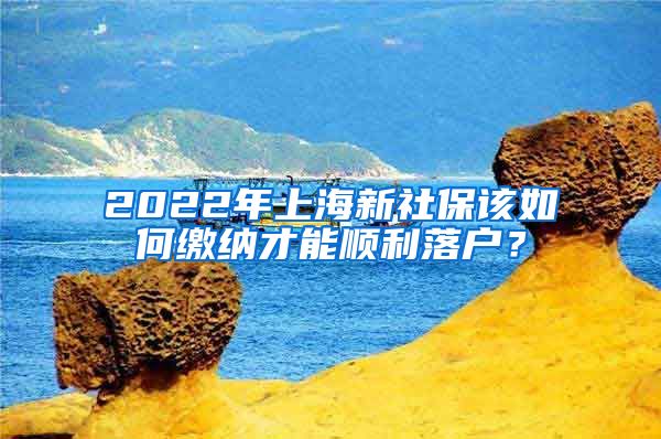 2022年上海新社保該如何繳納才能順利落戶？