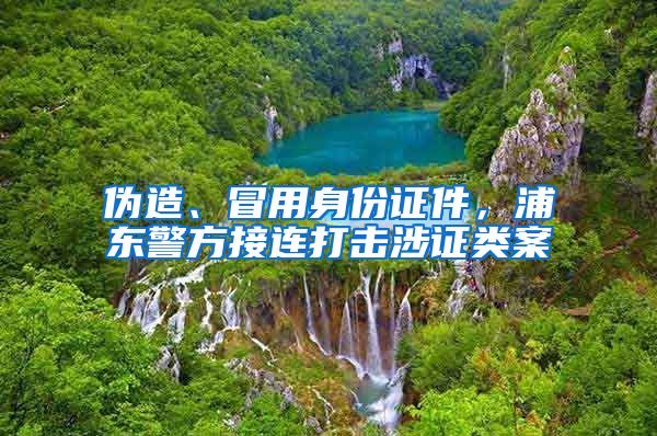 偽造、冒用身份證件，浦東警方接連打擊涉證類案